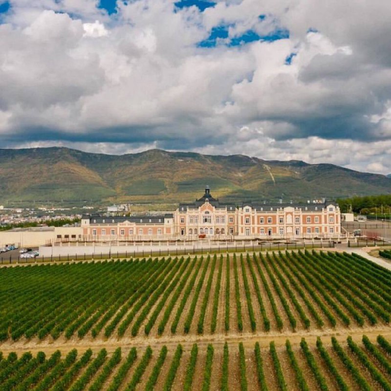 18.05 отправляемся на ночь музея на винодельне @chateau_de_talu 
Берем бокал в руку и культрно-эстетически обогащаемся, просвещаемся и наслаждаемся.