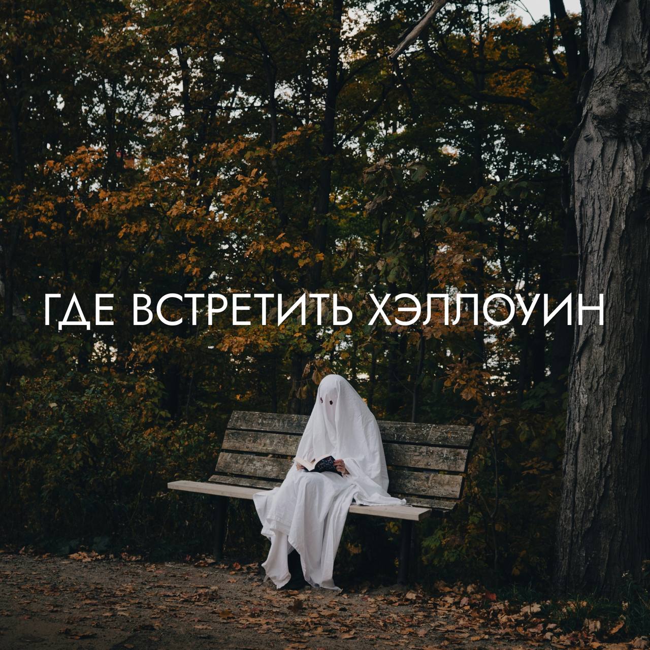 Ловим атмосферу хэллоуина на юге 🎃