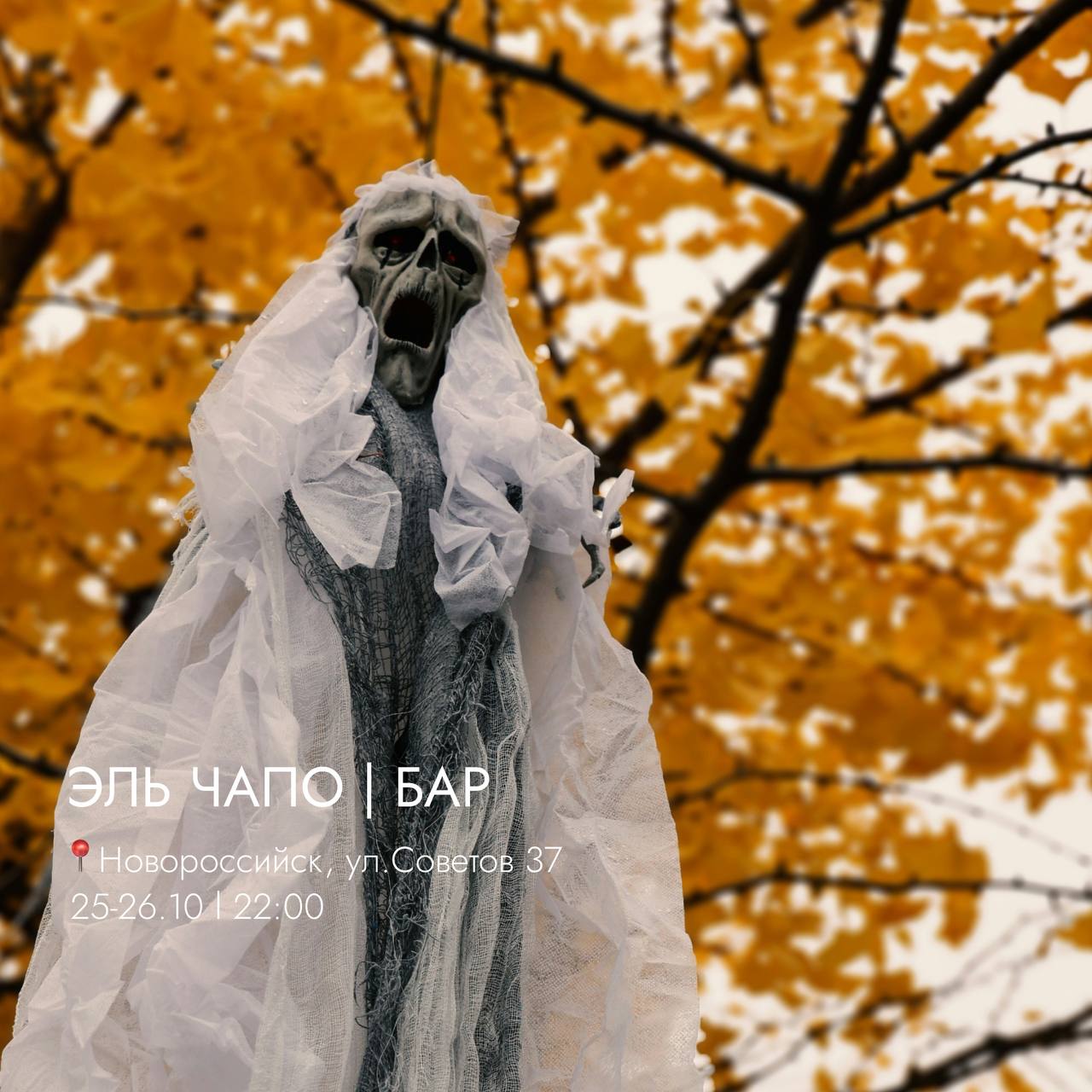 Ловим атмосферу хэллоуина на юге 🎃