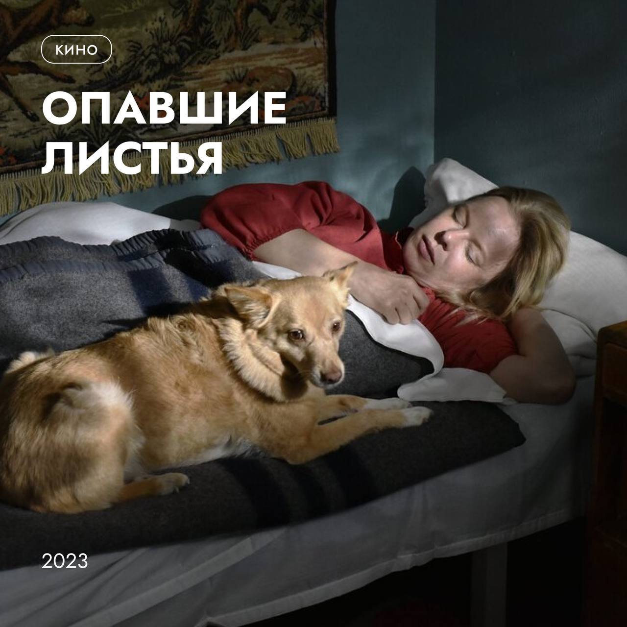 Повод залезть под одеяло - 8 фильмов для осени🍁