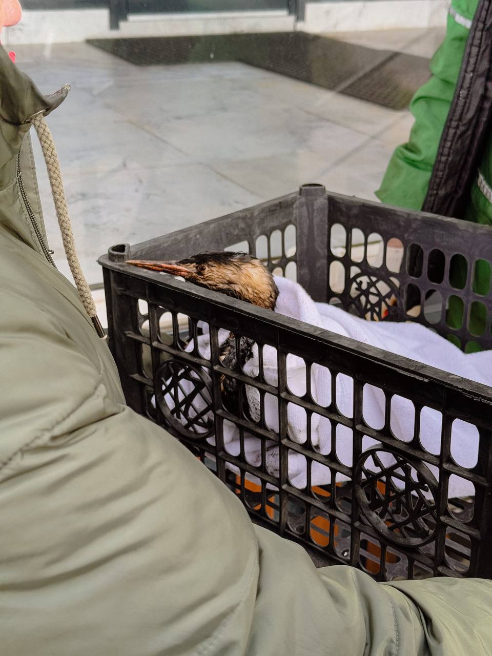 Невозможно оставаться в стороне. Сколько боли в каждом моменте.