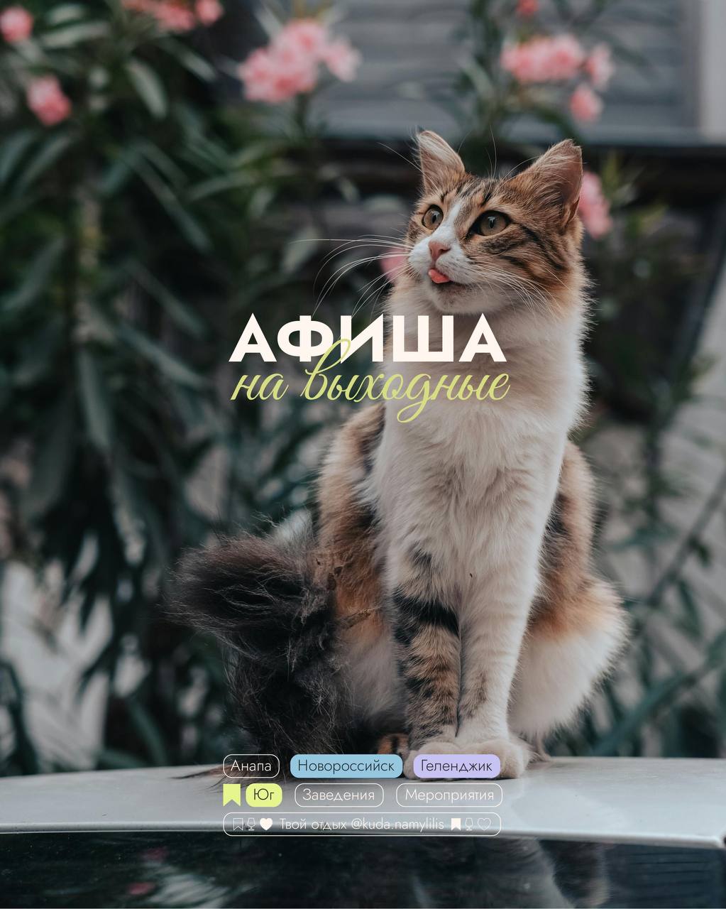 🎟Афиша l Новороссийск | Геленджик
📆8-10 августа