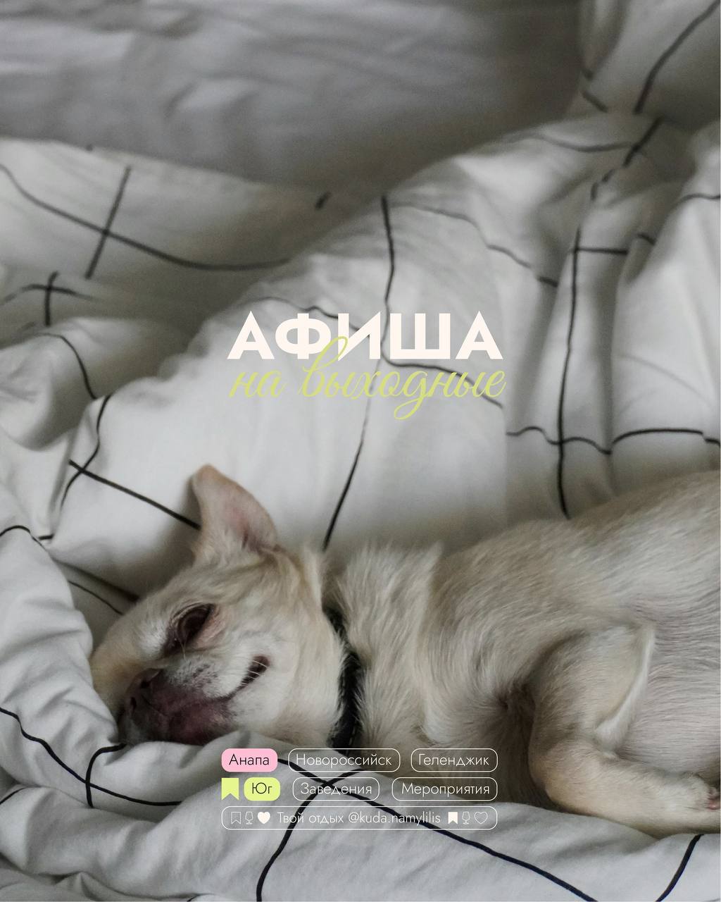 - Куда намылились?
- На выходные☁️