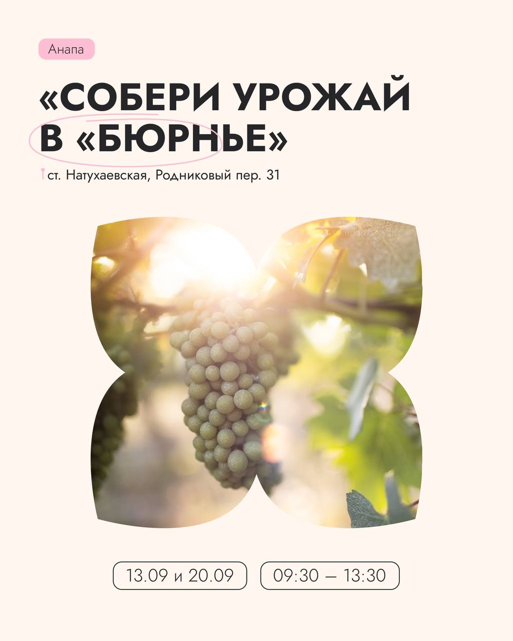 Анапа - винный туризм