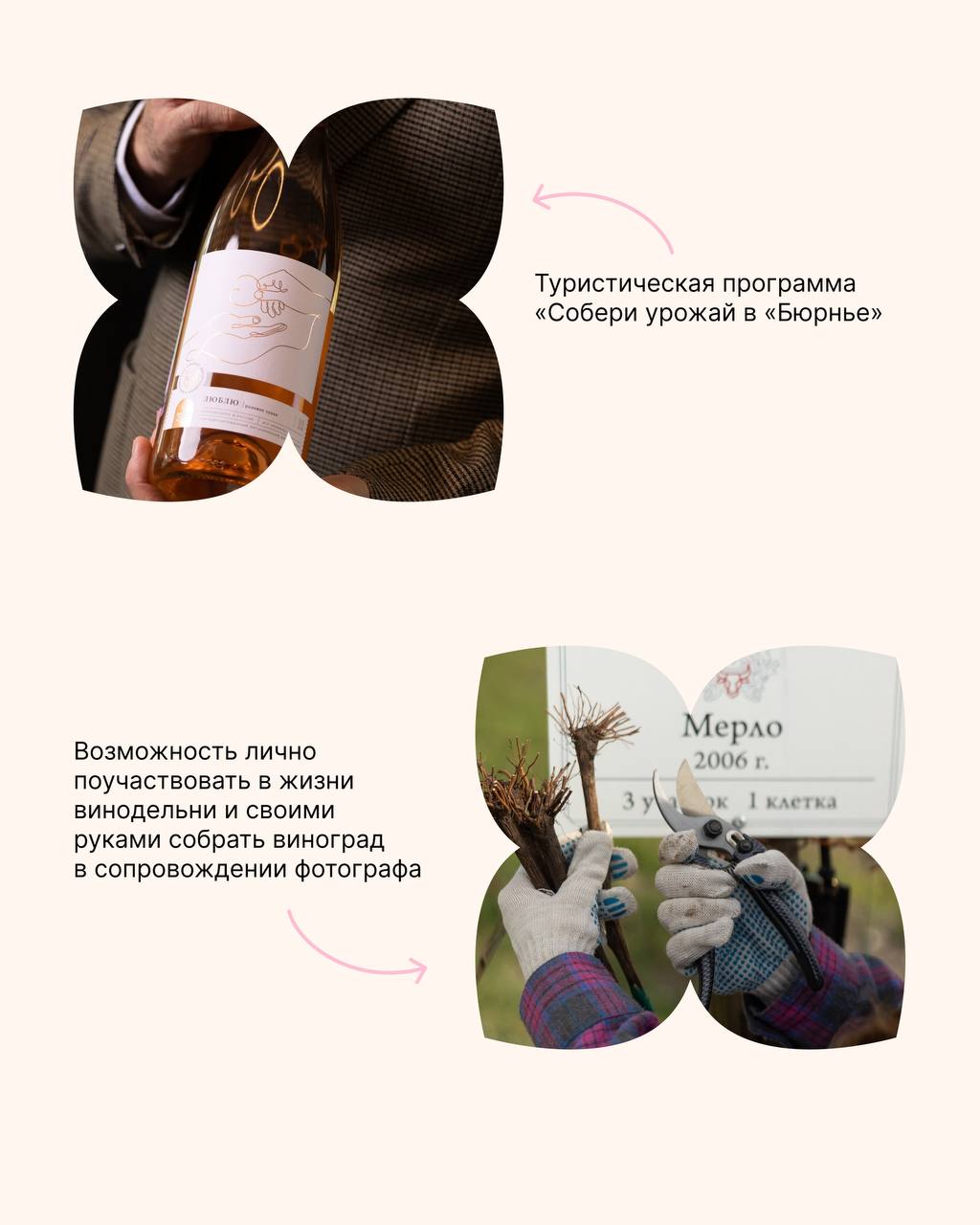 Анапа - винный туризм