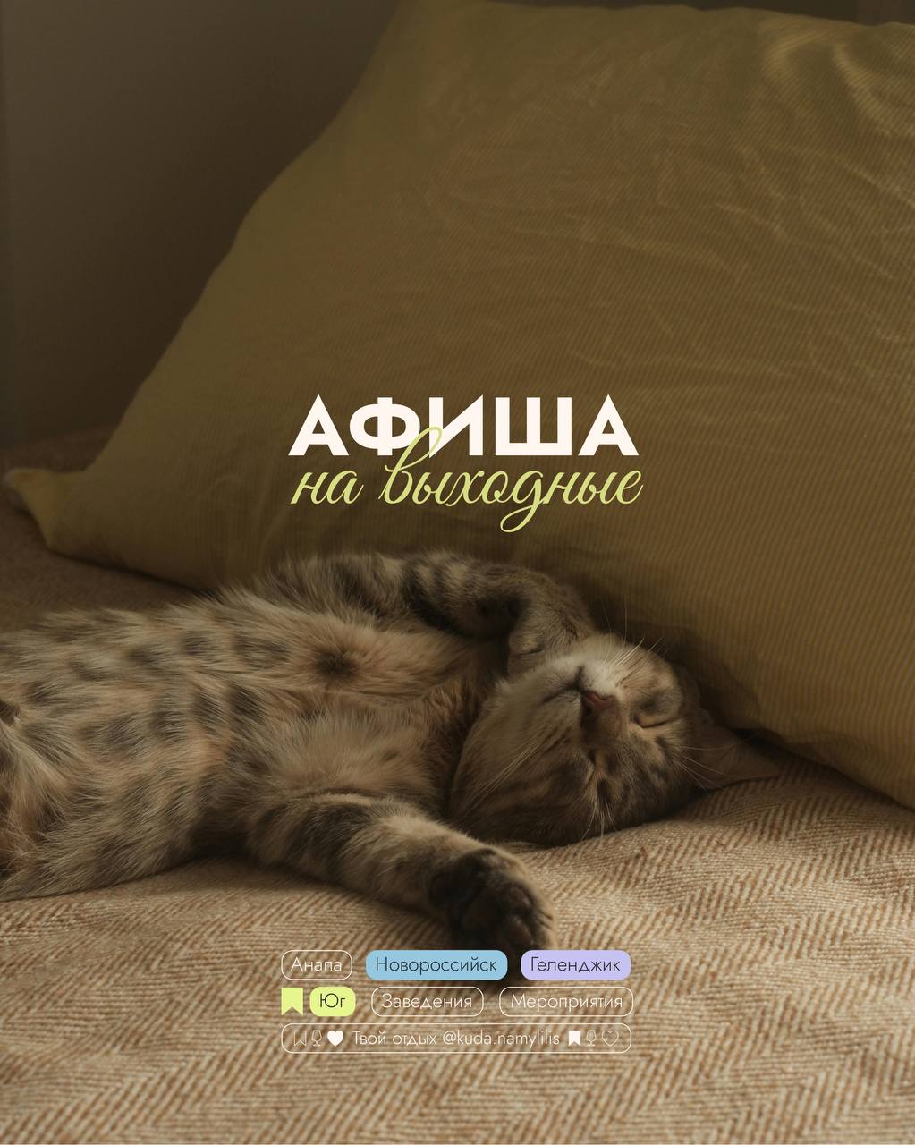 🎟 Афиша 19-21 сентября
Новороссийск 🔴Геленджик